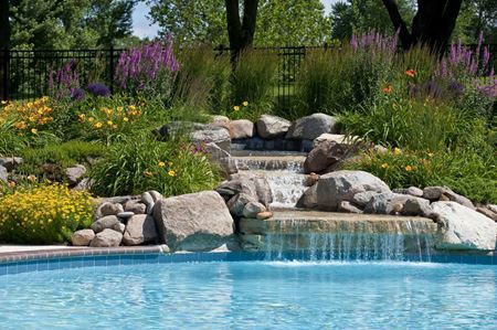 Dive into Pool Types and Maintenance