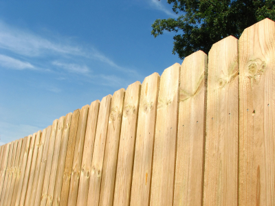 Fence Cleaning Thumbnail